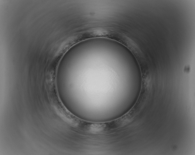 X0000112520373200908241451