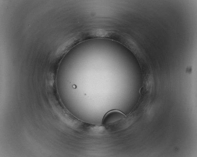 X0000112520374200908241451