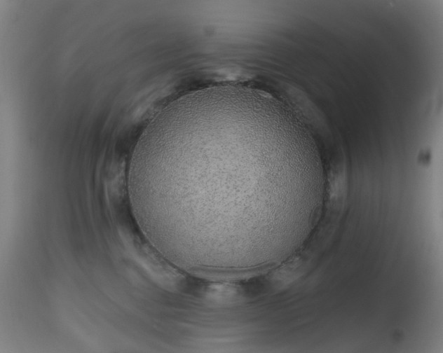 X0000112520376200908241451