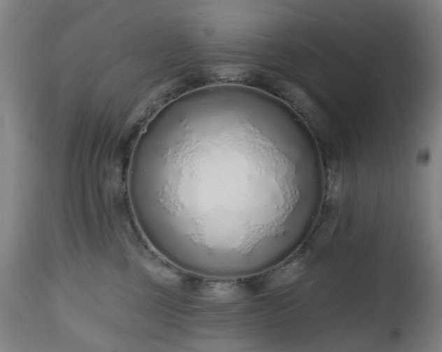 X0000112520377200908241451