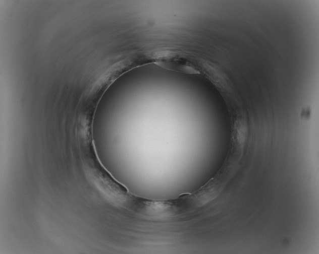 X0000112520380200908241451