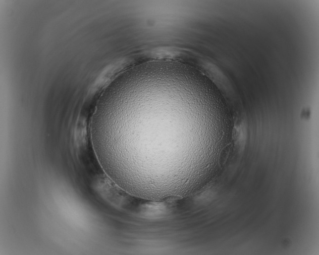 X0000112520381200908241451