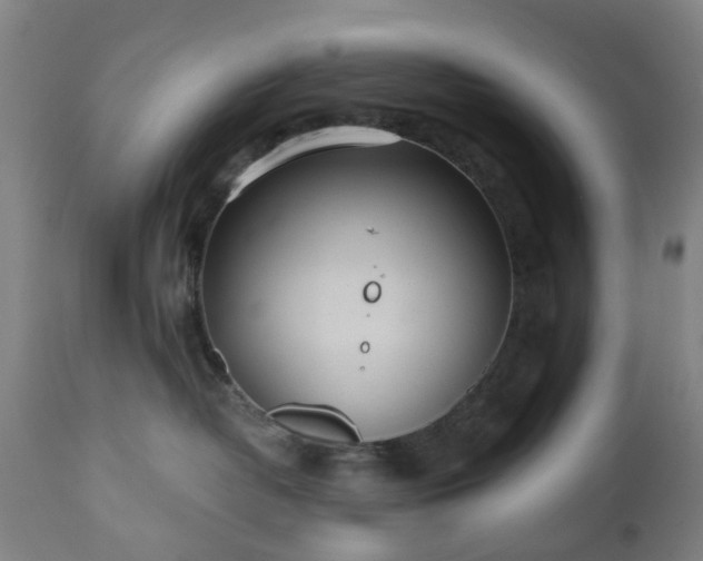 X0000112520382200908241451