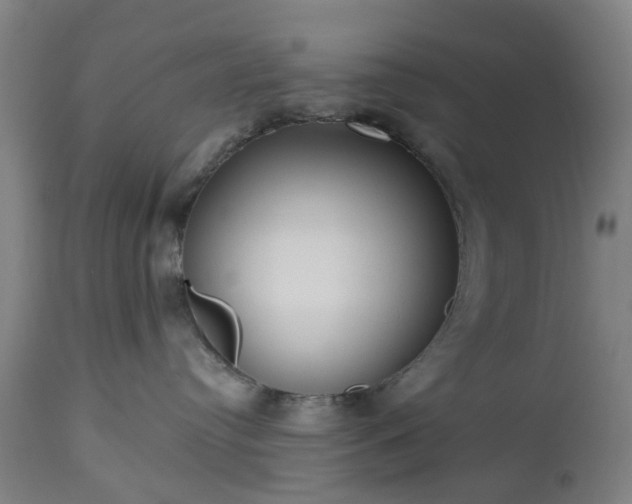 X0000112520384200908241451