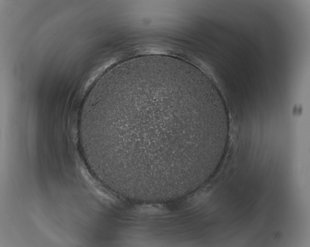 X0000112520386200908241450