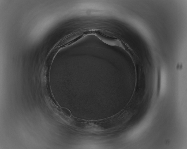 X0000112520387200908241450