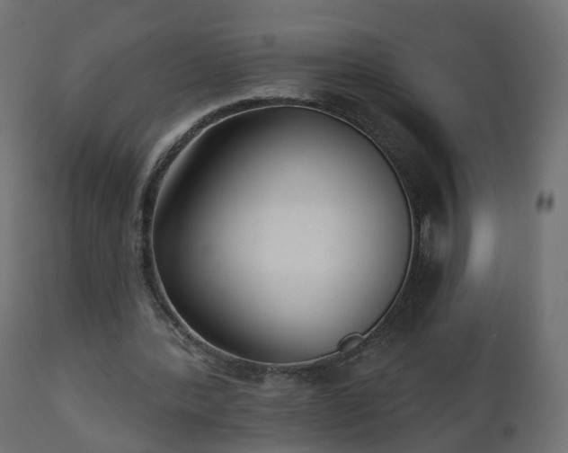 X0000112520388200908241450