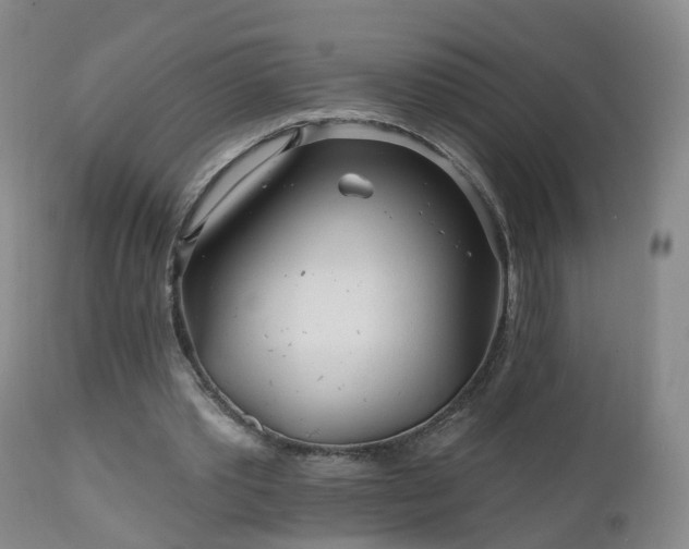 X0000112520389200908241450