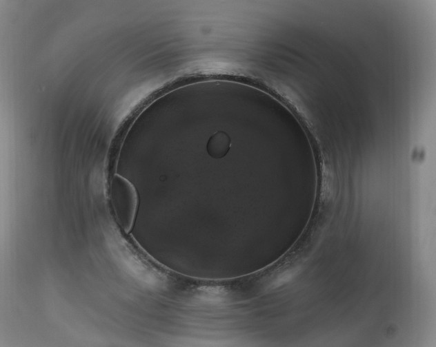 X0000112520391200908241450