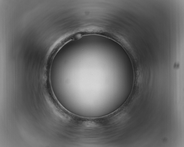 X0000112520392200908241450