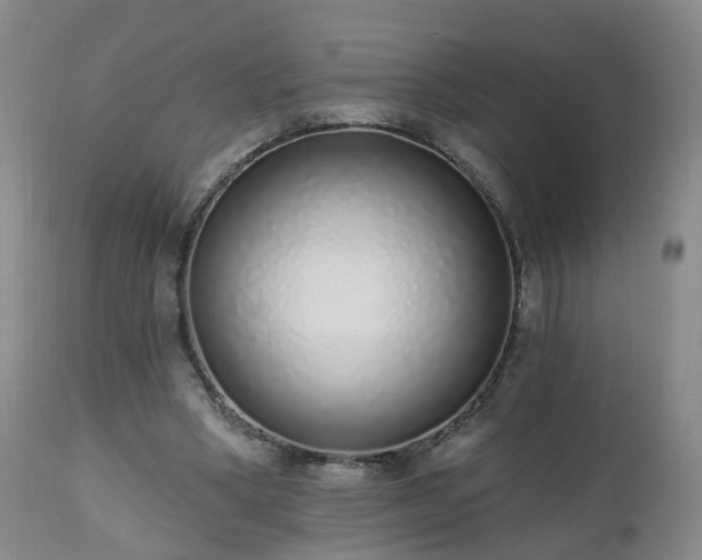 X0000112520394200908241450