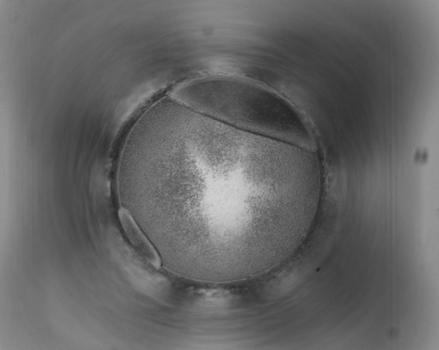 X0000112520395200908241450