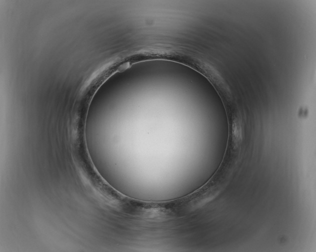 X0000112520396200908241450