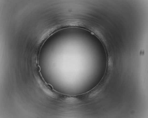 X0000112520397200908241450