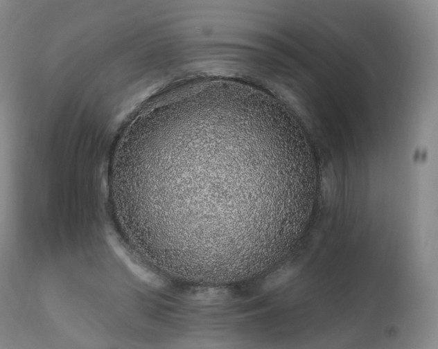 X0000112520398200908241450