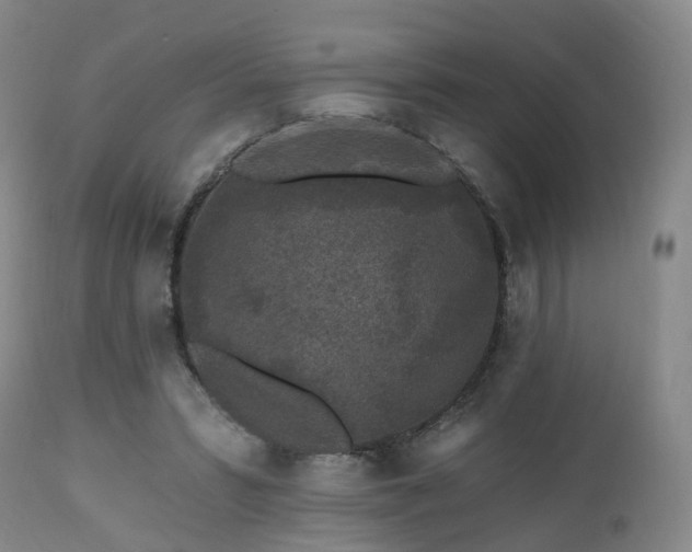 X0000112520399200908241450