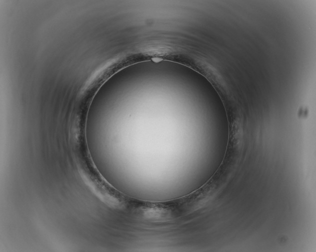 X0000112520400200908241450