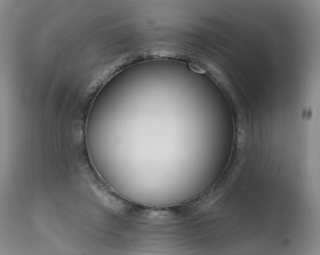 X0000112520401200908241450