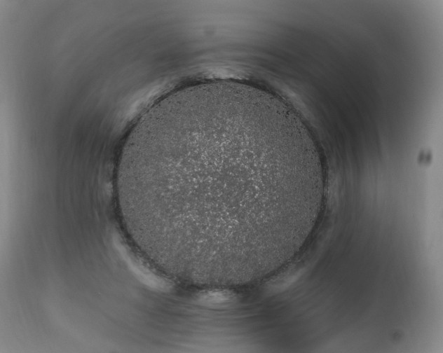 X0000112520402200908241450