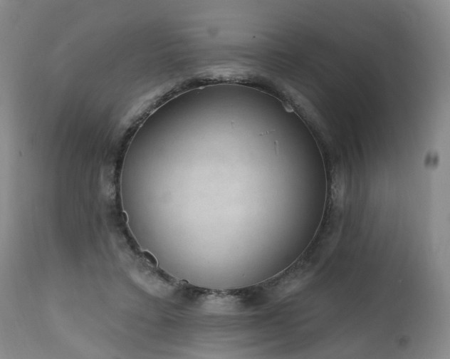 X0000112520403200908241450