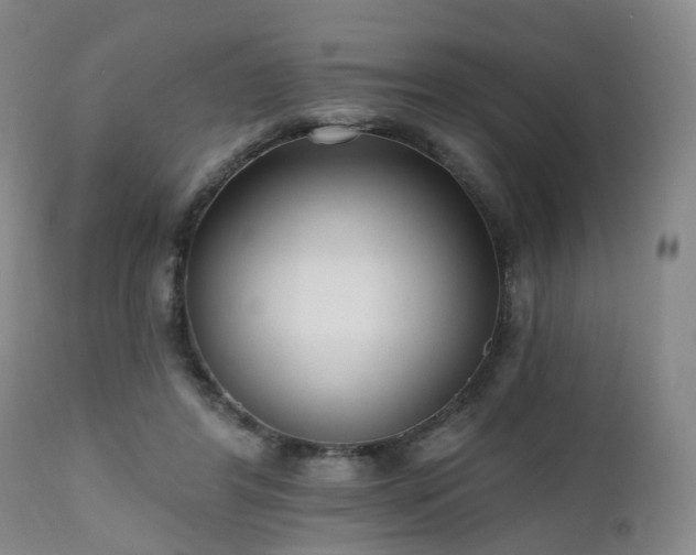 X0000112520404200908241450