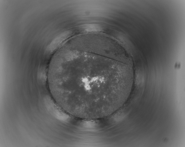 X0000112520405200908241450
