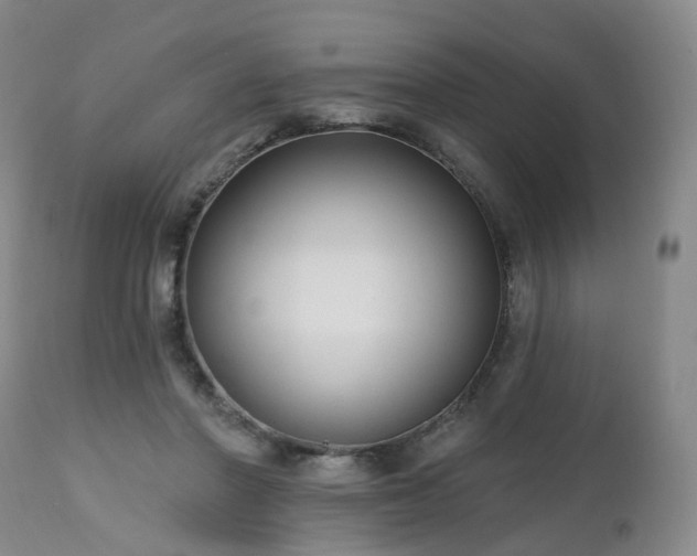 X0000112520406200908241450