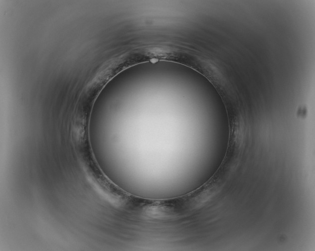X0000112520408200908241450
