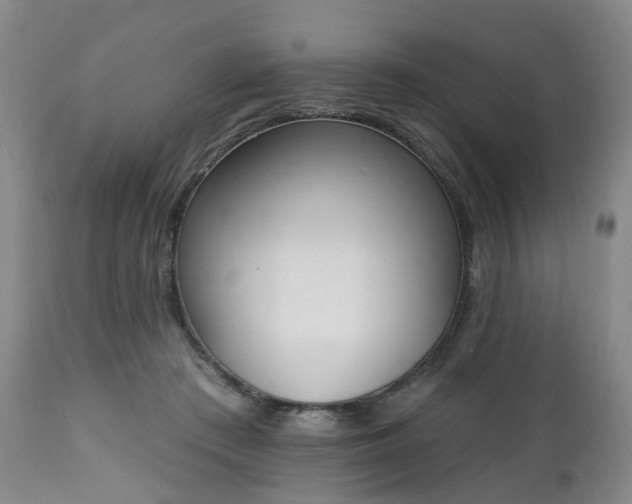X0000112520409200908241450