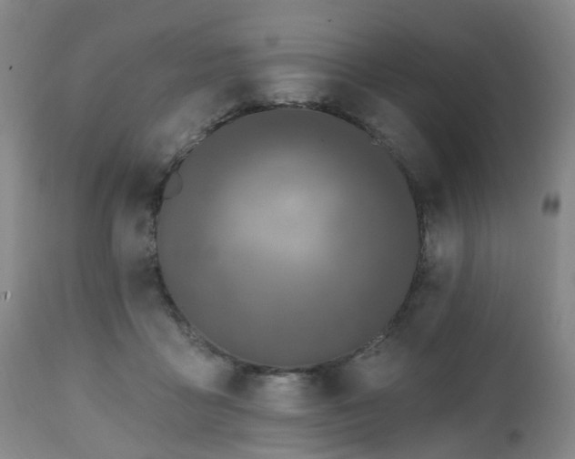 X0000112520411200908241450
