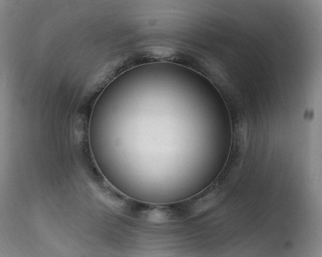 X0000112520412200908241450
