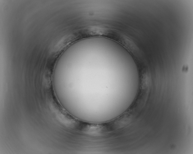 X0000112520414200908241450
