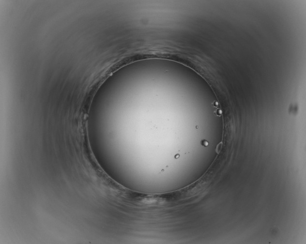 X0000112520415200908241450