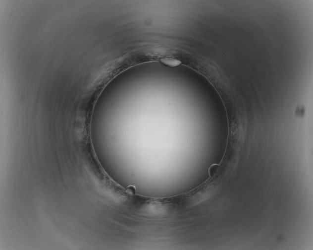 X0000112520416200908241450