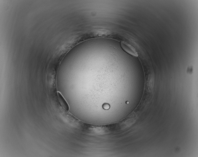 X0000112520417200908241450