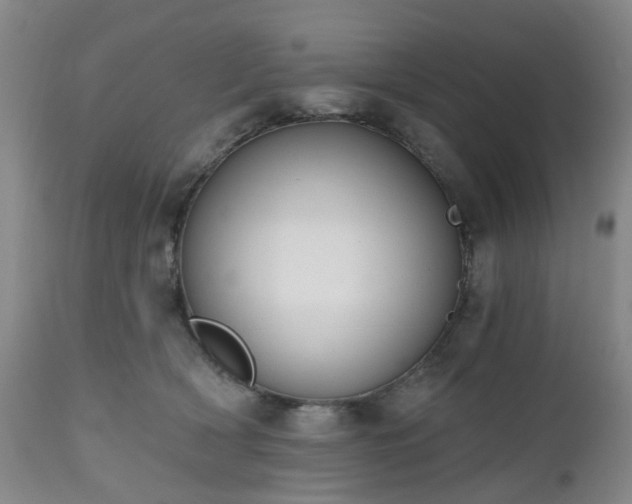 X0000112520418200908241450