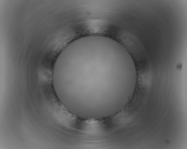 X0000112520419200908241450