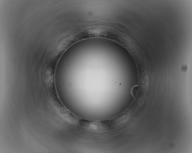 X0000112520420200908241450