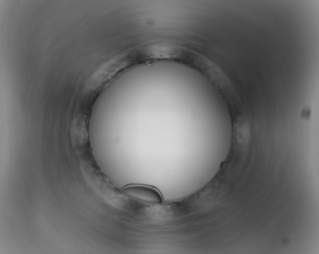 X0000112520422200908241450