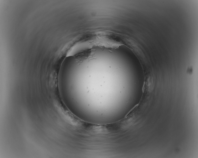 X0000112520424200908241450
