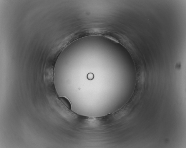 X0000112520425200908241450