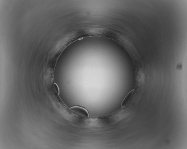 X0000112520428200908241450