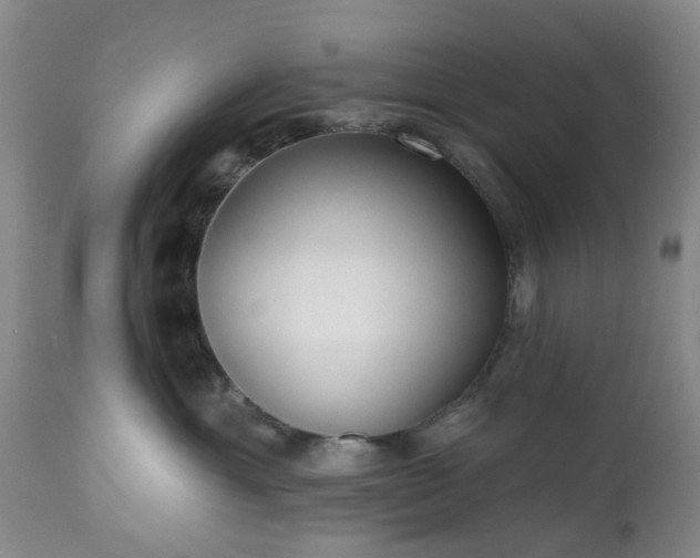 X0000112520429200908241449