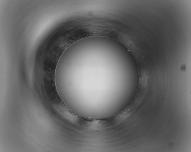X0000112520430200908241449