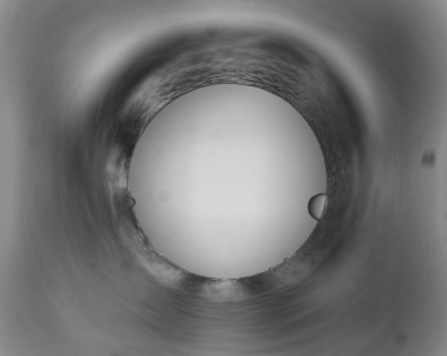 X0000112520431200908241449