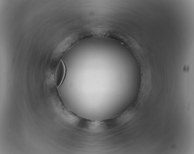 X0000112520432200908241449