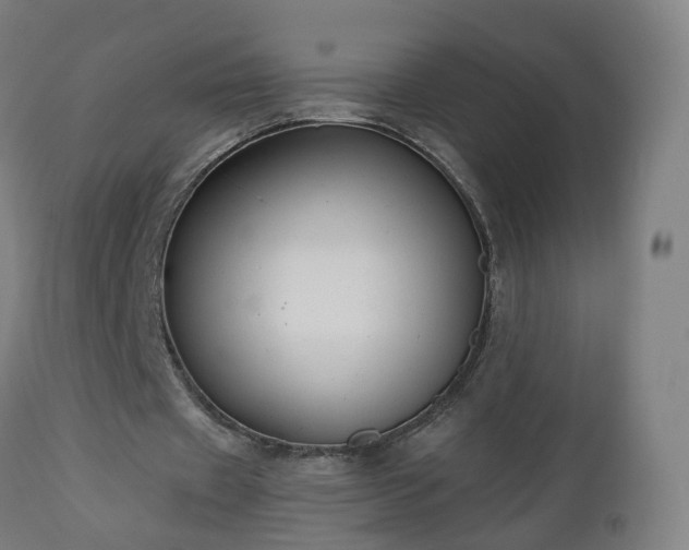 X0000112520433200908241448
