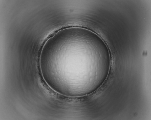 X0000112520434200908241448