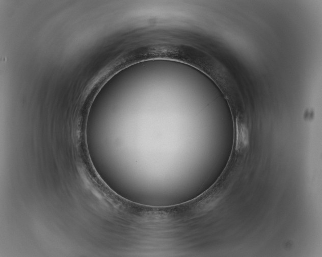 X0000112520435200908241448