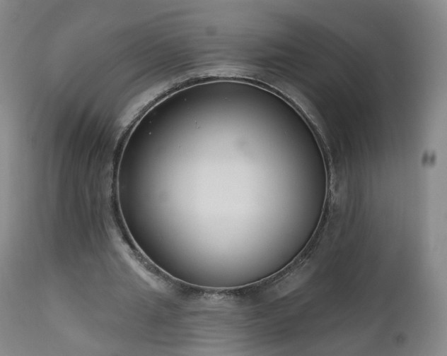 X0000112520437200908241448